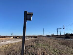 bird boxes